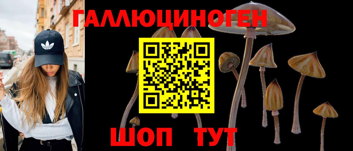 Псилоцибиновые грибы GOLDEN TEACHER Новозыбков