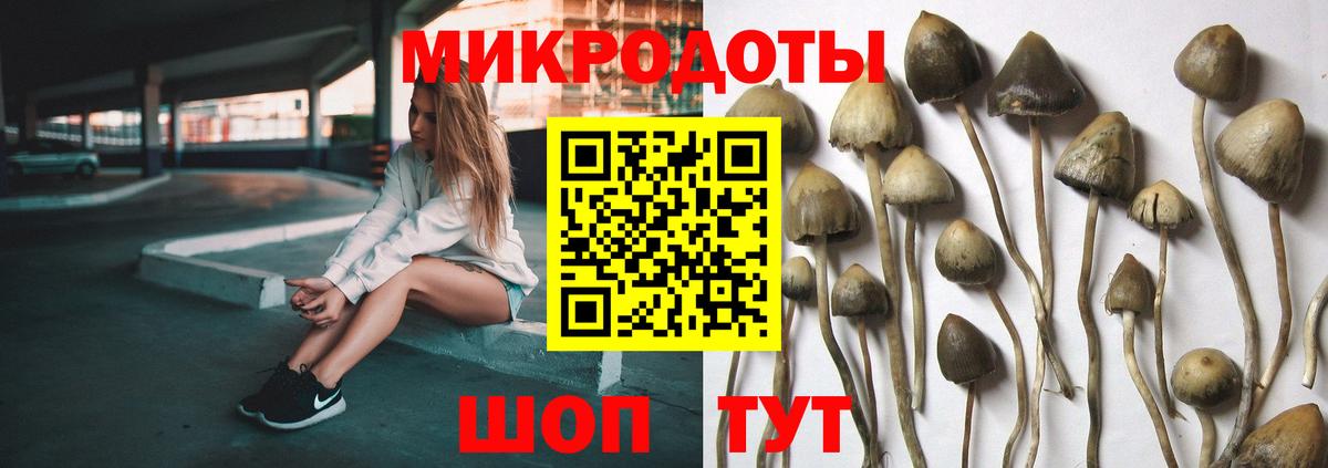 Псилоцибиновые грибы GOLDEN TEACHER  Вход с VPN  Новозыбков 