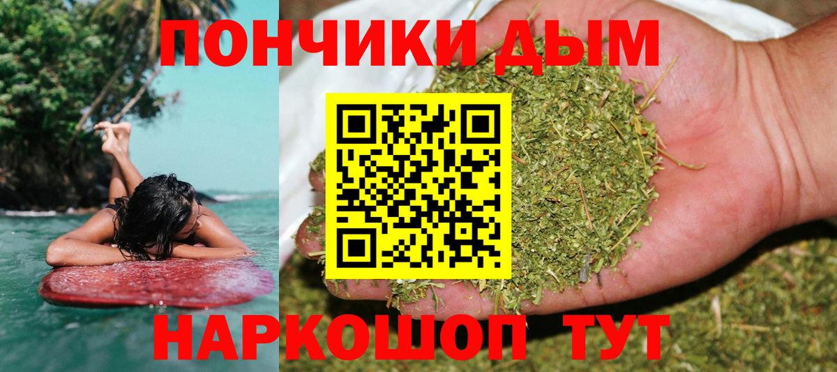 Канабис план Новозыбков
